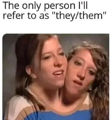 1732983185502.jpg