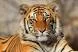 download (1).webp