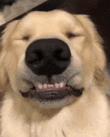 200.gif