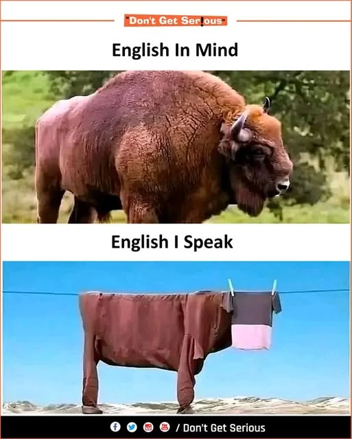 1733389306270.webp