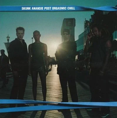 Skunk Anansie - Post Orgasmic Chill (25th Anniversary Expanded Edition) (2024) Mp3 320kbps