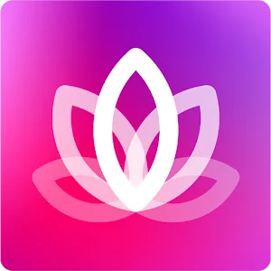 1733569511103.webp