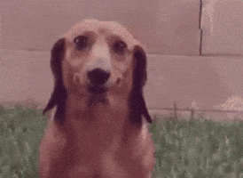 200.gif