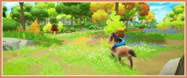 Relaxed_Sandbox.gif