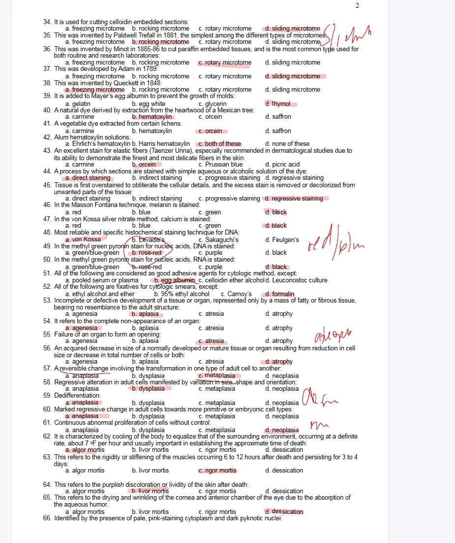 1733838617113.webp
