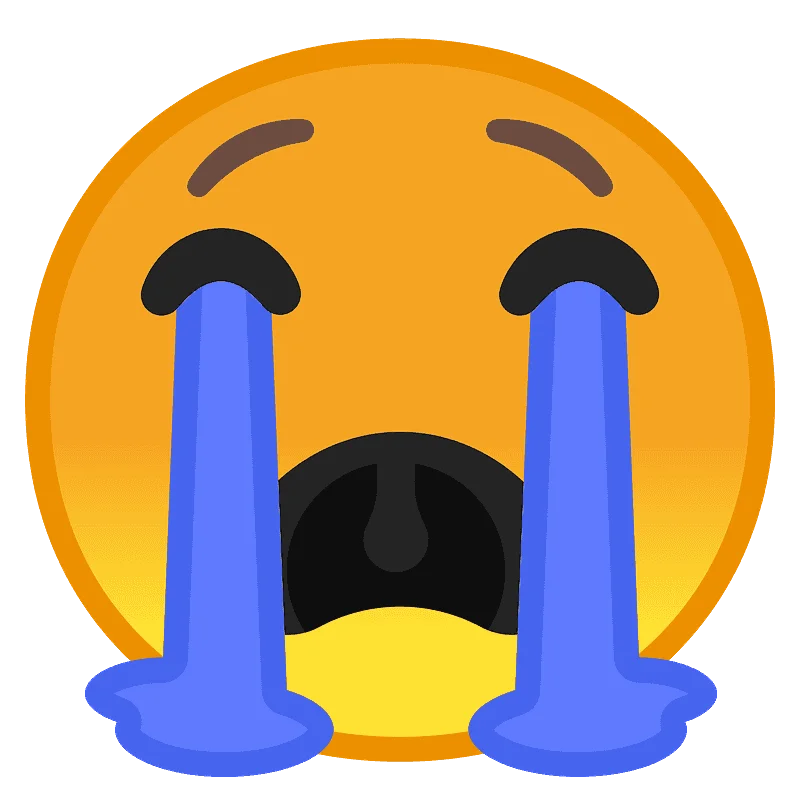 1733932321474.webp