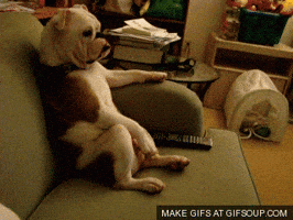 200.gif