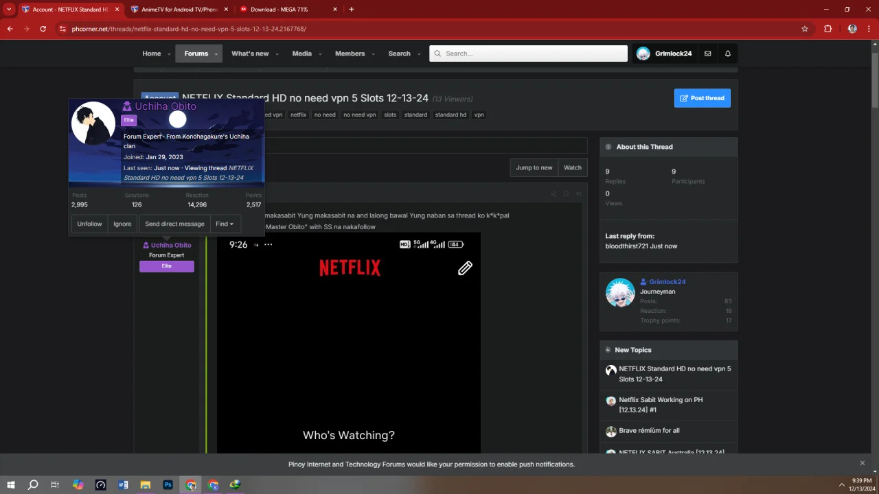 1734097180475.webp