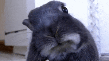 200.gif