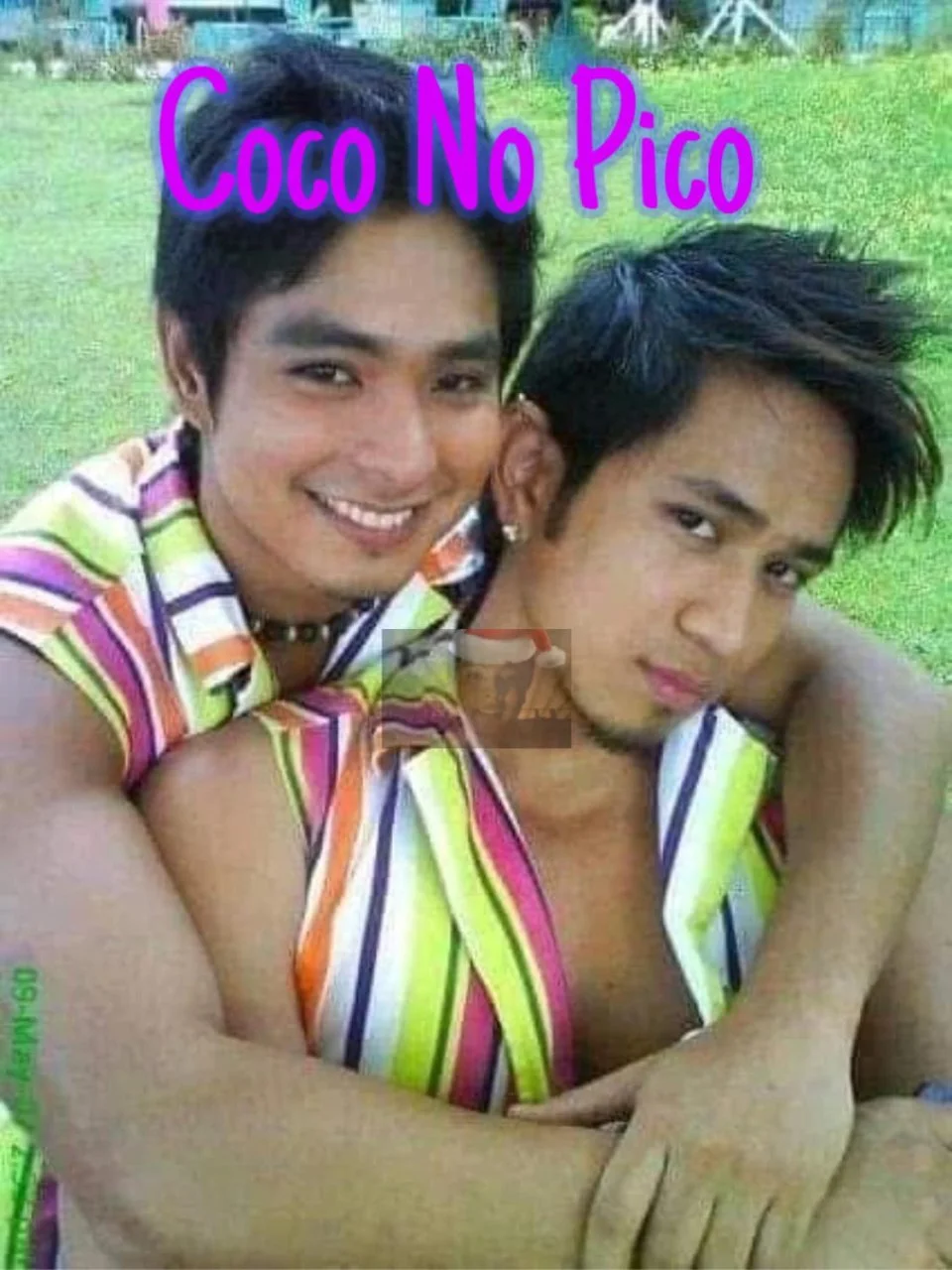 1734174112961.webp