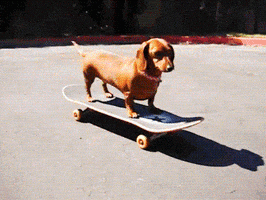200.gif