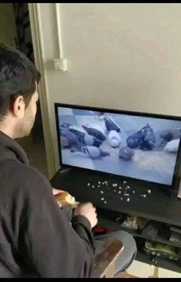 469993714_122219577086065068_265456490556983565_n.webp
