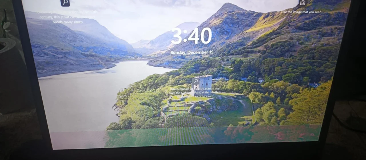 1734264573587.webp