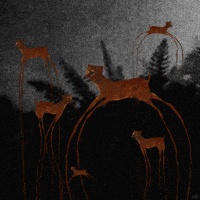 200.gif