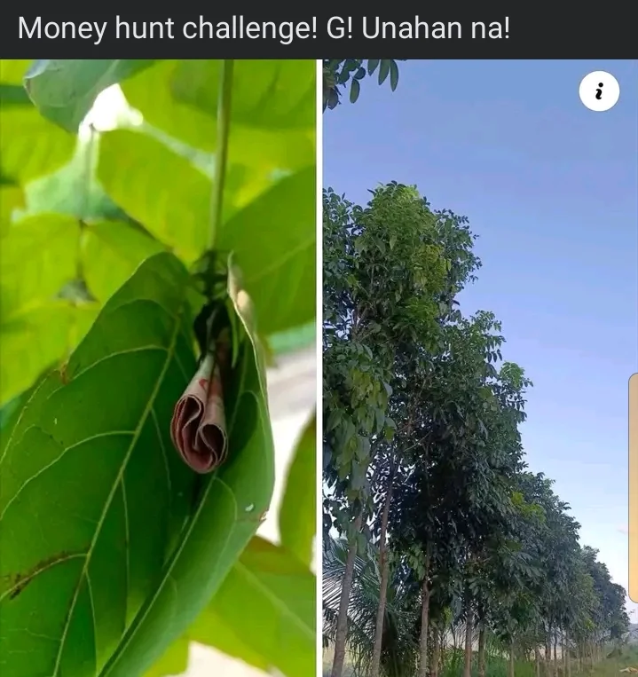 Screenshot_2024-12-17-22-03-37-67_f598e1360c96b5a5aa16536c303cff92.webp