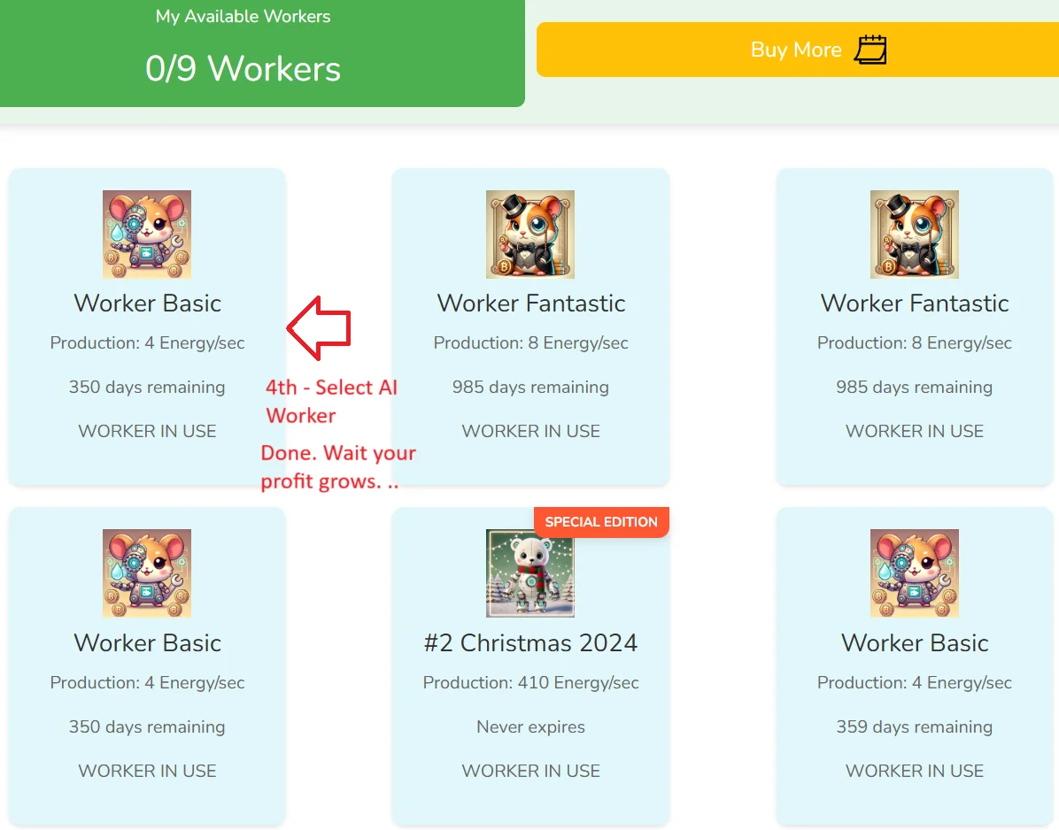 5.webp
