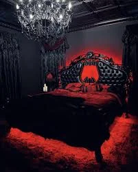 1734536746776.webp