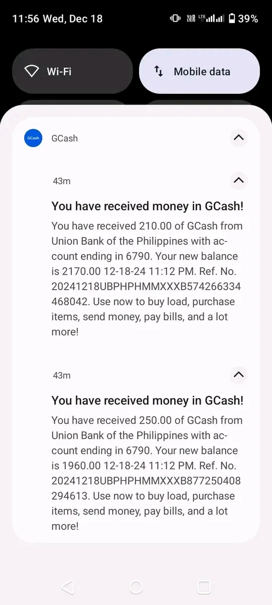 1734576522670.jpg