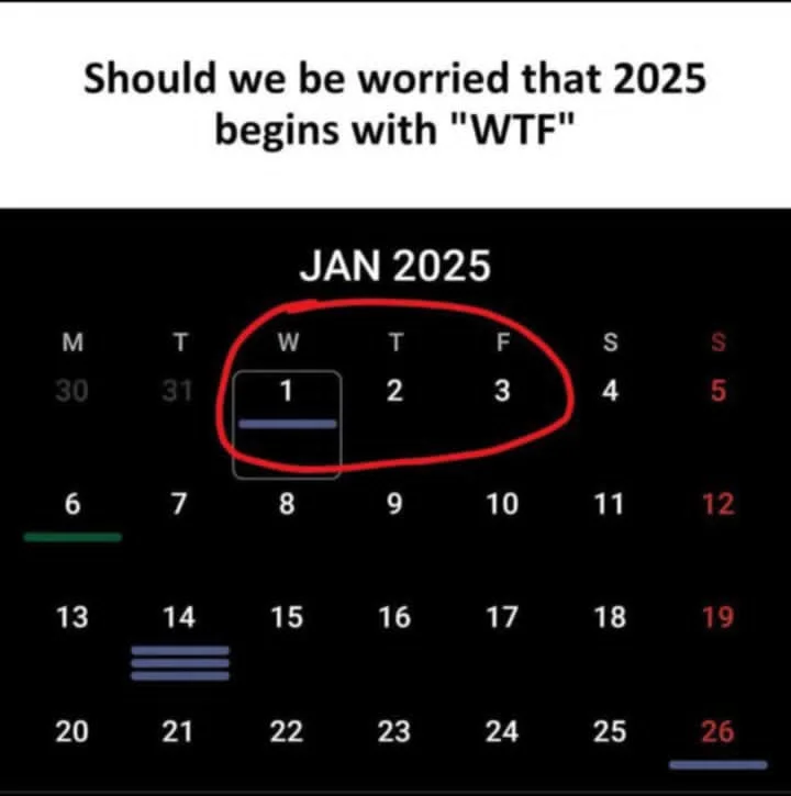 wtfsatsun.webp