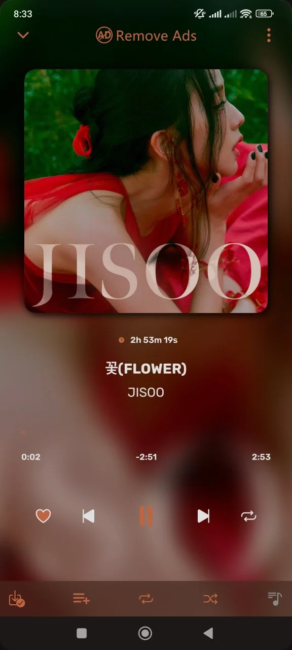 Screenshot_2024-12-23-20-33-09-184_com.music.downloader.sptfifst.jpg