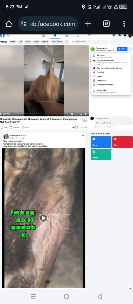 Screenshot_20241224-172324.webp