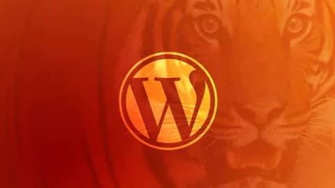 1735057345526.png