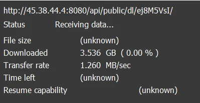 1735207702156.webp