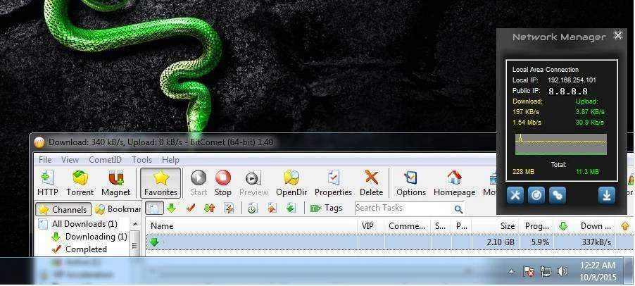 payter.webp