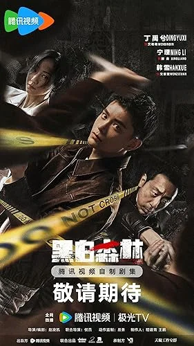 Black and White Forest S01 1080p WEB-DL AAC2 0 H264