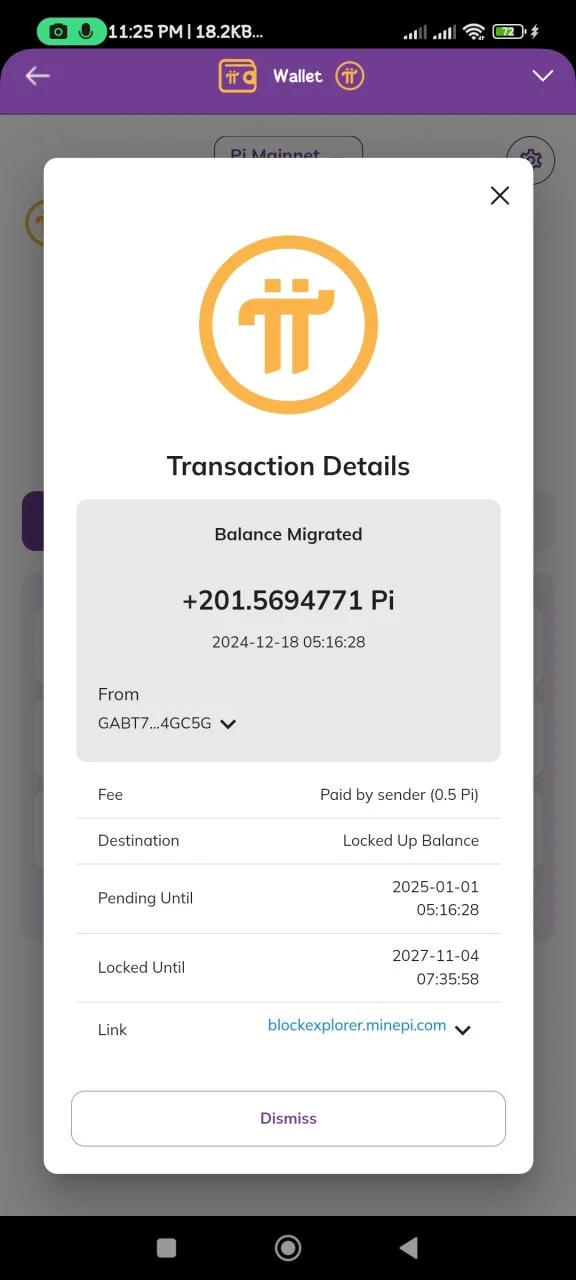 Screenshot_2024-12-29-23-25-33-814_pi.browser.jpg