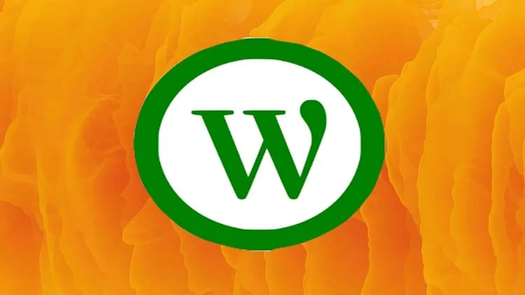1000060212.webp
