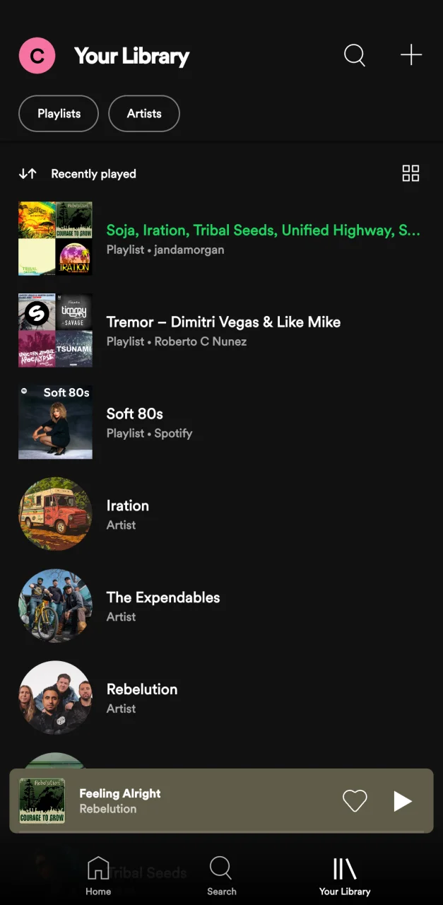 Screenshot_20250104_082240_Spotify.webp