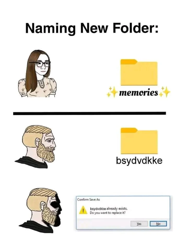 bsydvdkke.webp