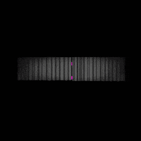 200.gif
