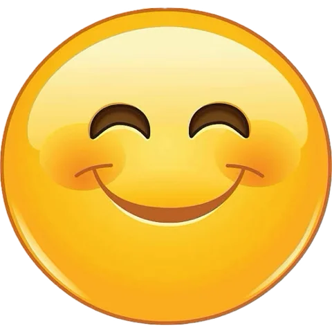 1736513103727.webp
