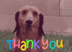 200.gif