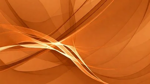 1000061242.webp