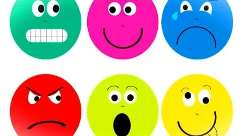 1000061352.webp