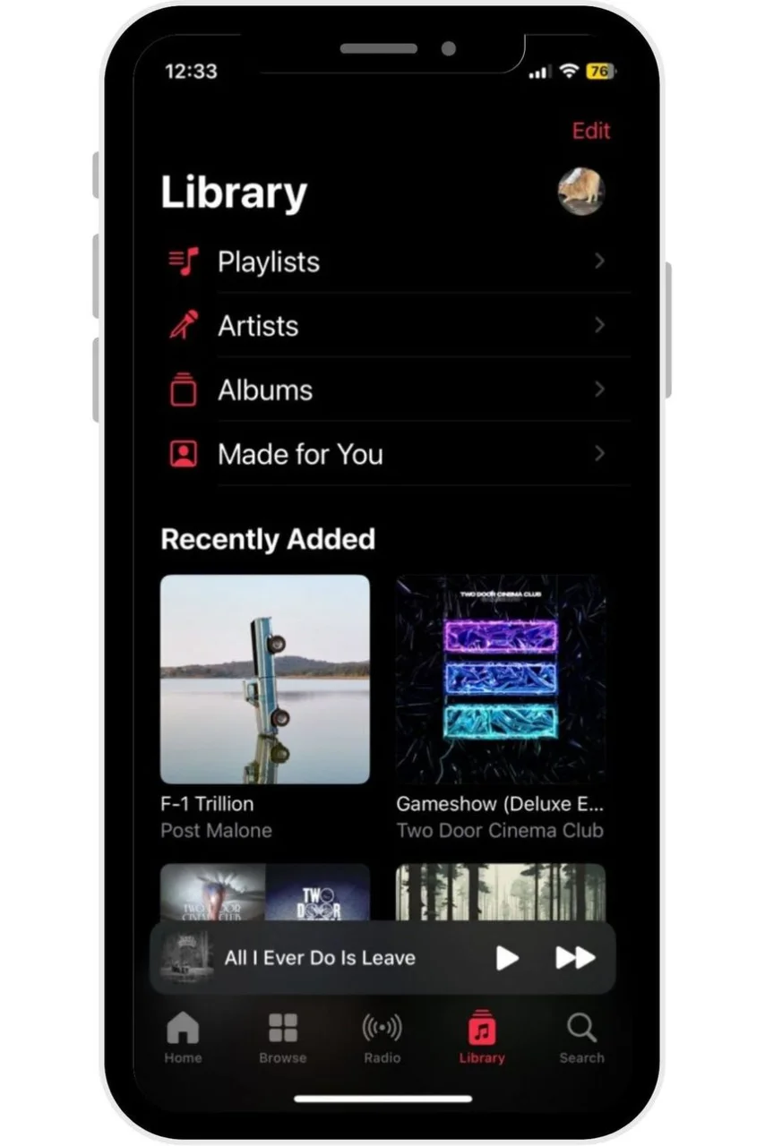 apple-music-library-66cf57f37a0ce.webp