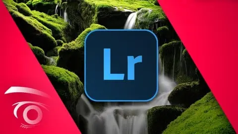 1000061742.webp