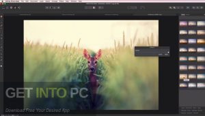 Affinity-Photo-2024-Direct-Link-Download-GetintoPC.com_-300x170.jpg