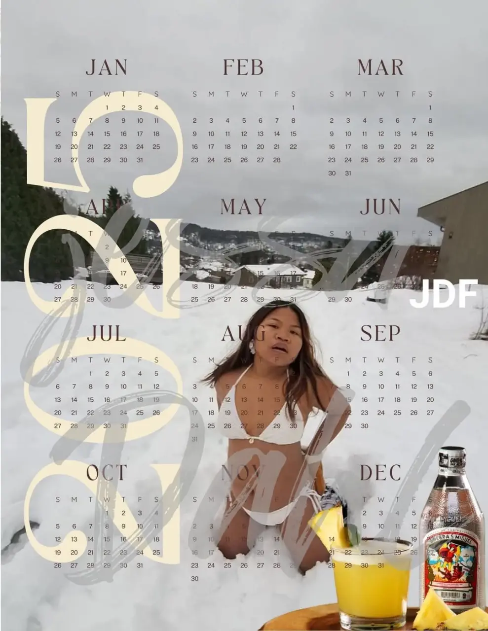 1737371283859.webp