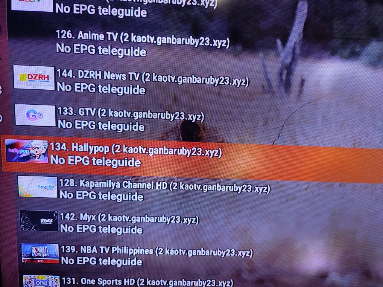 17376872118225534214680341597224.webp