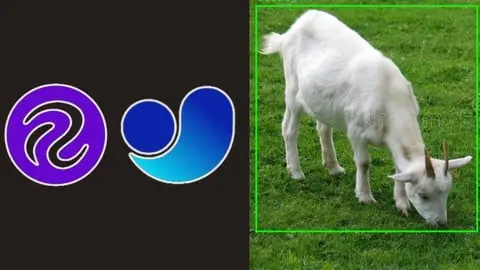 1000062497.webp