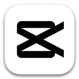 1737773474239.webp