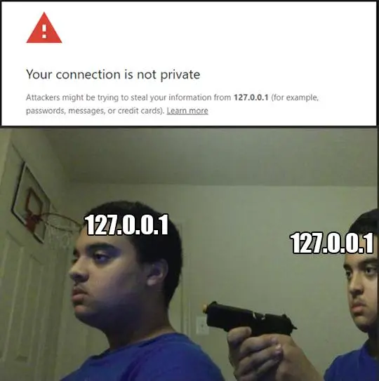 Setting up local webserver be like.webp
