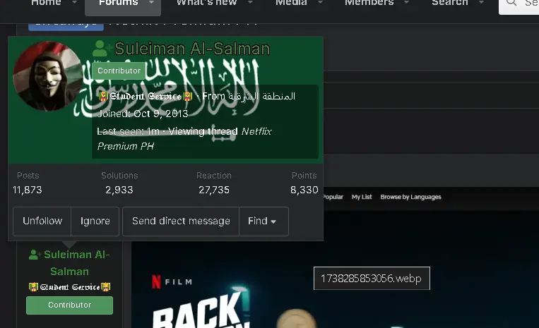 Screenshot 2025-01-31 091451.webp