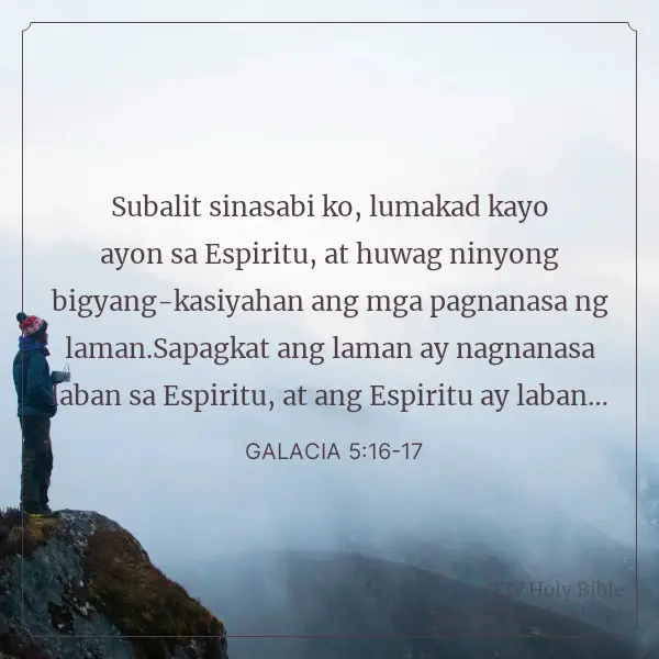 1738393055642.webp