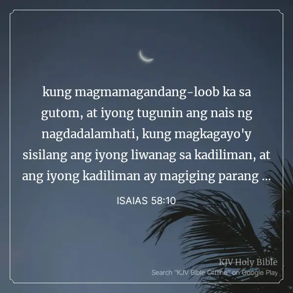 1738413523823.webp