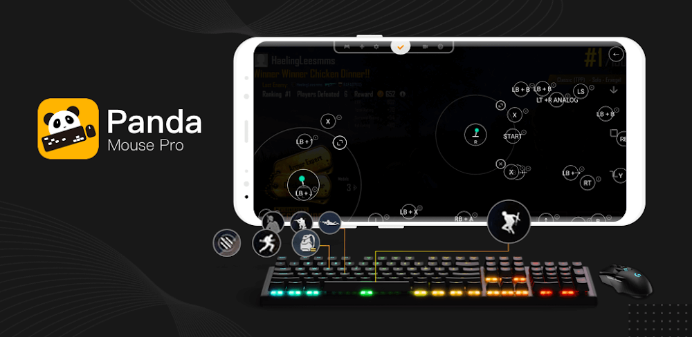 panda-mouse-probeta-1.webp